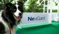 Novidade no Mundo Pet – Lançamento NexGard